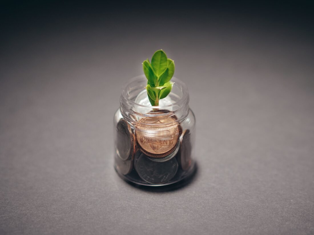 Planta crescendo ao lado de moedas, representando renda passiva Planta crescendo ao lado de moedas, representando renda passiva