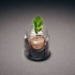 Planta crescendo ao lado de moedas, representando renda passiva