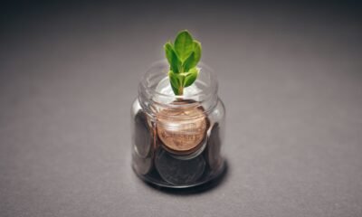 Planta crescendo ao lado de moedas, representando renda passiva