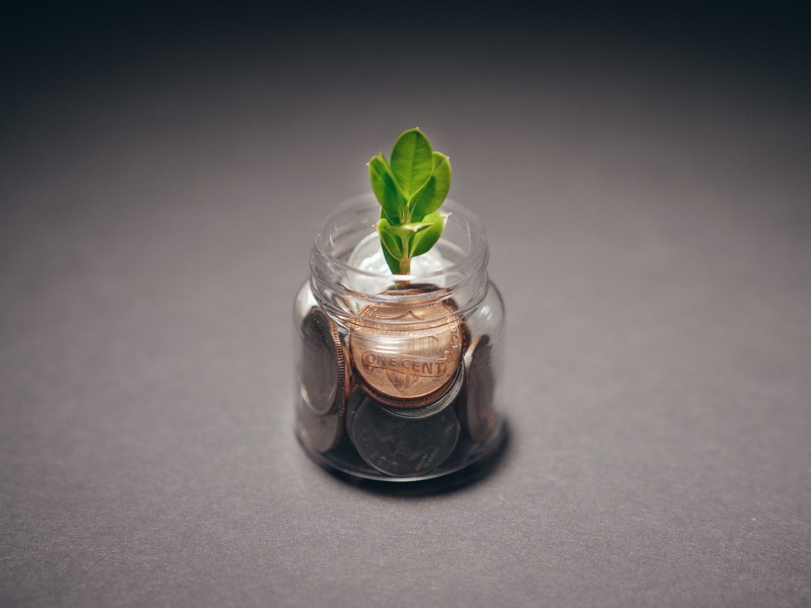 Planta crescendo ao lado de moedas, representando renda passiva Planta crescendo ao lado de moedas, representando renda passiva